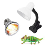 Lâmpada Uva Uvb 3 0 Luz De Sol Luminária Presilha Bocal
