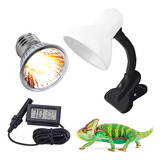 Lâmpada Uva uvb 3 0 Termômetro Higrômetro Luminária Presilha 50w 110v