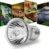 Lâmpada Uva Uvb Para Terrários - 50w - Voltagem 220v - Soquete E27 - 97% Uva E 3% Uvb - Répteis E Tartarugas - Marca Lorben