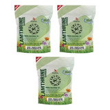 Lamthrine Kit 3 Unidades