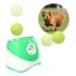 Lançador Automático De Bolinha Para Cães