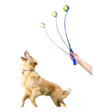 Lançador De Bolinhas Para Cães Pet Brinquedo Pet Educativo
