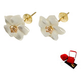 Lancamento Ouro 18k 750