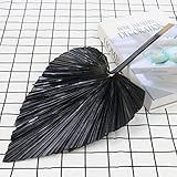 Lanças De Palmeira Secas Coloridas Folhas De Palmeira Secas Naturais Leques De Palmeira Secas Folhas De Palmeira Plantas Artificiais Para Decoração De Festa De Casamento