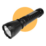 Bivolt
