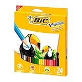 Lápis De Cor Sextavado BIC Evolution 24 Cores 902638 Blister 1 Unidade Seguro Para Crianças Não Lasca
