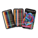 Lápis Profissional Prismacolor Premier 24 Cores Original