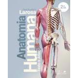 Larosa Anatomia Humana 2