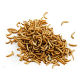 Larva Tenébrio Molitor 250g Desidratado Alimento Peixe