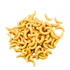 Larvas Do Bichinho Da Laranja 1200 Unidades