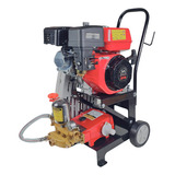 Lavadora De Alta Pressão 5 5hp À Gasolina Eletroplas Cor Vermelho Frequência N a
