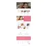 Layouts Editáveis - Pacote Master 101 Sites Em Bootstrap 4