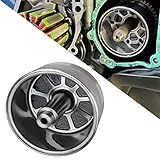 LEABON Rotor Do Volante Do Estator Do Gerador Compatível Com Yamaha FZ1 FZS1 2006 2015 FZ8 2011 2013 YZF R1 2004 2008 Conjunto Do Rotor Do Gerador Magnético Para Substituição Do Volante Para