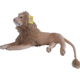 Leão Deitado Selva Realista Pelúcia Realismo Média 85cm Fofy