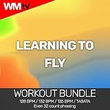 Learning To Fly 