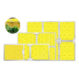 Led Crescer Luz Sunlike Lâmpada De Crescimento De Espectro