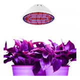 Led Grow 300 Leds Full Spectrum Indoor Floração E27 Bivolt