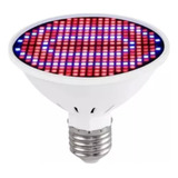 Led Grow 300 Leds Full Spectrum Indoor Floração E27 Bivolt