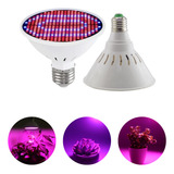 Led Grow 300 Leds Full Spectrum Indoor Floração E27 Bivolt