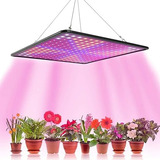 Led Grow Full Spectrum 500w 110v 220v Lâmpada Cultivo Indoor