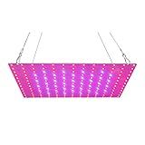 LED Grow Light Vermelho Azul Full Spectrum 81 LEDs Grow Lamps Painel LED Grow Light Para Estufa Hidropônica Planta De Interior Flor Crescimento Vegetativo