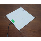 Lm281b