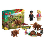 Lego Jurassic Park 76959