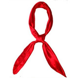 Lenço Gaúcho Unissex P/ Prova De Laço Cavalo Crioulo Promo Cor Vermelho Desenho Do Tecido Liso Tamanho P