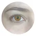 Lente De Contato Colorida Anual Extase Hidrogel C  Filtro Uv