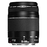 Lente Ef 75 300mm