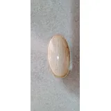 Lente Vidro Iluminacao Ford