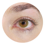 Lentes De Contato Colorida Hidrotone Cores Naturais Anual