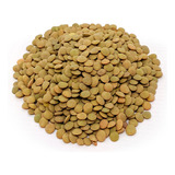 Lentilha Canadense 1kg Importada Dietsz