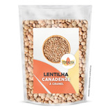 Lentilha Canadense Premium Importada 1kg