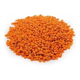 Lentilha Canadense Vermelha 1kg