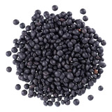 Lentilha Preta Beluga 1kg