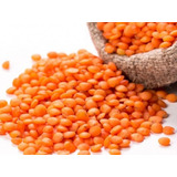 Lentilha Rosa 500g 