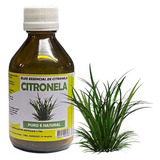 Leo Essencial Citronela 100  Puro Repelente Natural 100ml