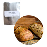 Levain Fermento Natural Organico