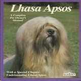 Lhasa Apsos Everything