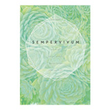 Libro Sempervivum
