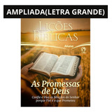 Licoes Biblicas Adultos Aluno