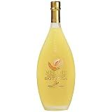 Licor Italiano Bottega Meloncino