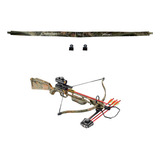 Archery