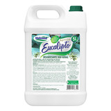 Limpador Perfumado Desinf Eucalipto Galão 5lts