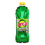 Limpador Pinho Urca Desinfetante Eucalipto Fresh Eucalipto E Citronela Em Frasco 2l