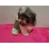 Linda Femea De Shih Tzu 