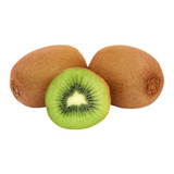 Linda Muda De Kiwi Fêmea Para Produzir Enxertado