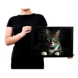 Lindo Quadro Poster Com Moldura Gato