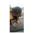 Lindos Filhotes De Pinscher Miniatura Pai E Mãe Zerinhos 